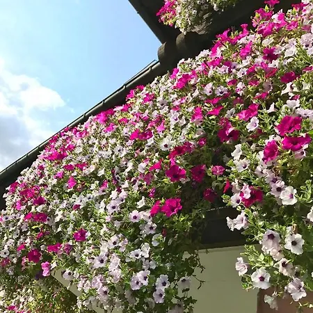 Bed & Breakfast Gaestehaus Immenhof 3*